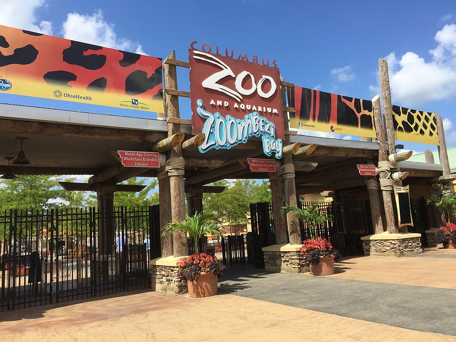 top-5-columbus-zoo-exhibits-liberty-summit